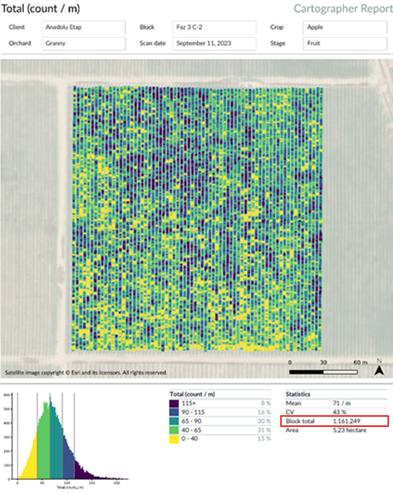 meyve-sayisi-tespiti